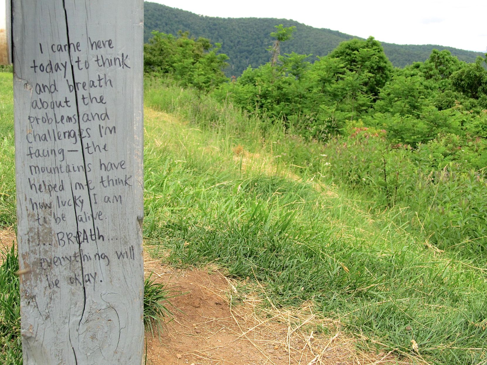 Sharpie philosopher